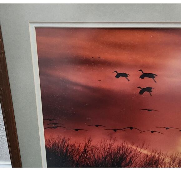 Thomas D. Mangelsen Collector Edition Print of Sandhill Cranes Images of Nature - Picture 4 of 15
